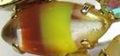 Enlarge photo 159