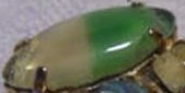 Enlarge photo 161