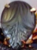Enlarge photo 185