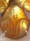 Enlarge photo 190