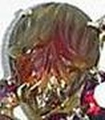 Enlarge photo 191