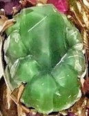 Enlarge photo 45