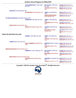 Enlarge PDF 2