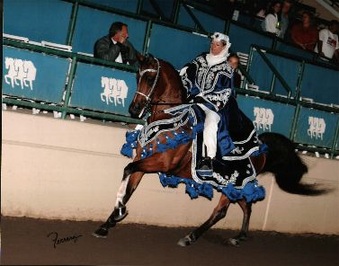 Horses