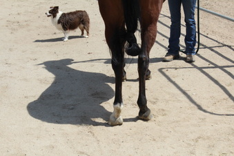 Enlarge photo 19