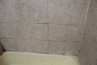 Enlarge photo 23