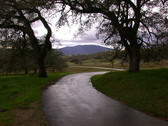 Caviano road
