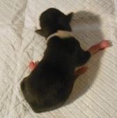 Enlarge photo 2