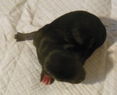 Enlarge photo 2