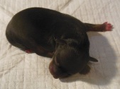 Enlarge photo 2