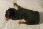 Enlarge photo 3