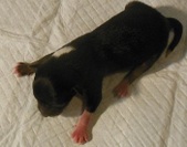 Enlarge photo 6