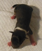 Enlarge photo 5