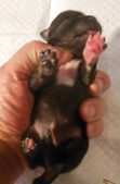 Enlarge photo 3