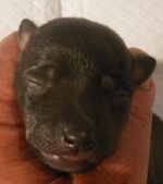 Enlarge photo 4