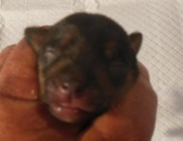 Enlarge photo 4