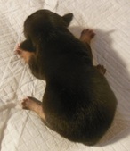 Enlarge photo 7