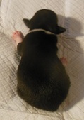 Enlarge photo 2