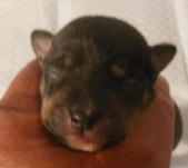 Enlarge photo 4