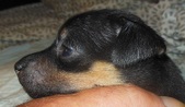 Enlarge photo 6