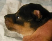 Enlarge photo 6