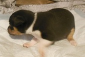 Enlarge photo 5