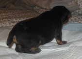 Enlarge photo 3