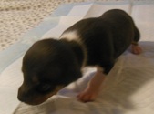 Enlarge photo 3
