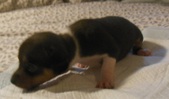 Enlarge photo 5