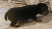 Enlarge photo 3