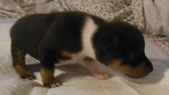Enlarge photo 3