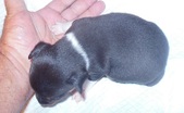 Enlarge photo 7