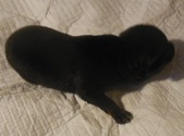 Enlarge photo 2