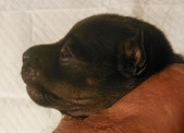Enlarge photo 6