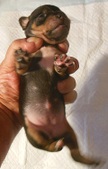 Enlarge photo 2