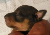 Enlarge photo 5