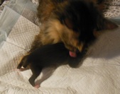 Enlarge photo 2