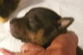Enlarge photo 8