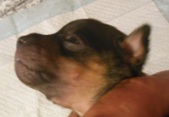 Enlarge photo 6