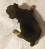 Enlarge photo 7