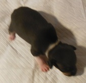 Enlarge photo 4