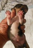 Enlarge photo 6