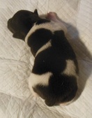 Enlarge photo 3
