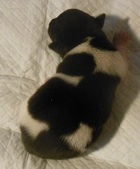 Enlarge photo 4