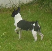 Enlarge photo 4
