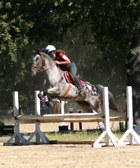 Enlarge photo 24