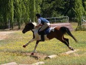 Enlarge photo 26