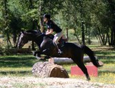 Enlarge photo 27
