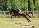Enlarge photo 28