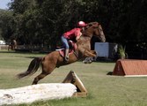 Enlarge photo 23